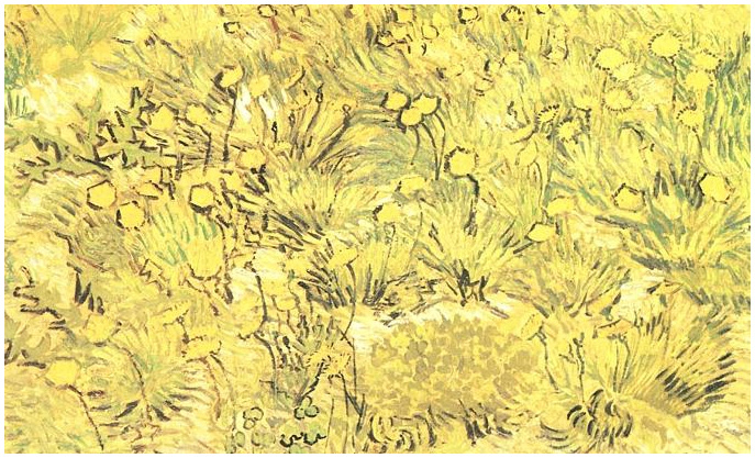 Field of Yellow Flowers A by Vincent Van Gogh 131