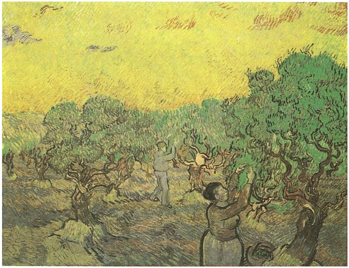 Vincent van Gogh Olivar con figuras cosechando Painting Vincent van Gogh's Olivar con figuras cosechando Painting