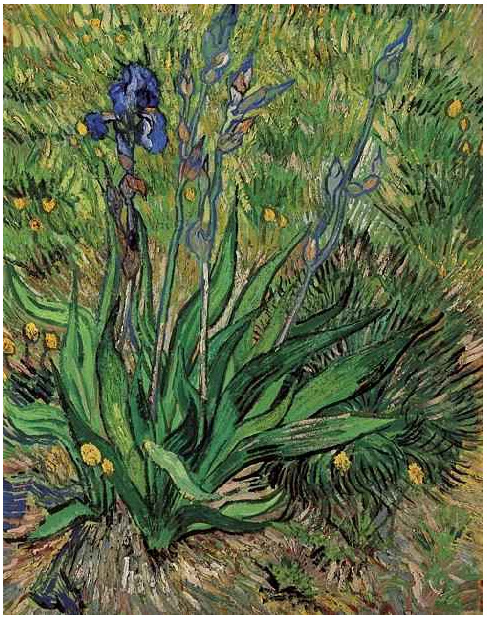 Vincent van Gogh El lirio Painting Vincent van Gogh's El lirio Painting