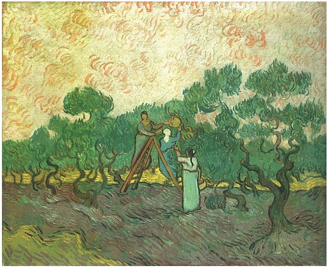Vincent van Gogh's Olive Picking Painting