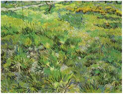 Vincent van Gogh Prado en el jardín del Hospital de San Pablo Painting Vincent van Gogh's Prado en el jardín del Hospital de San Pablo Painting