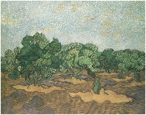 Vincent van Gogh Olivar: Cielo azul claro Painting Vincent van Gogh's Olivar: Cielo azul claro Painting