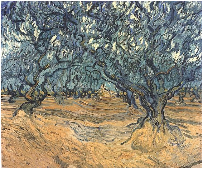 Vincent van Gogh Olivos Painting Vincent van Gogh's Olivos Painting