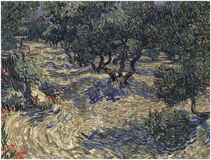 Vincent van Gogh Olivar Painting Vincent van Gogh's Olivar Painting