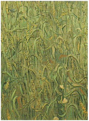 Vincent van Gogh Espigas de trigo Painting Vincent van Gogh's Espigas de trigo Painting