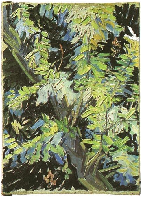 Vincent van Gogh Ramas de acacia en flor Painting Vincent van Gogh's Ramas de acacia en flor Painting