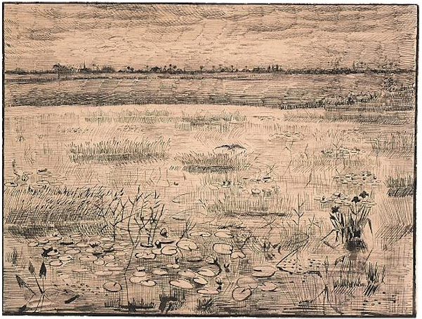 Vincent van Gogh Pantano con lirios acuáticos Drawing Vincent van Gogh's Pantano con lirios acuáticos Drawing
