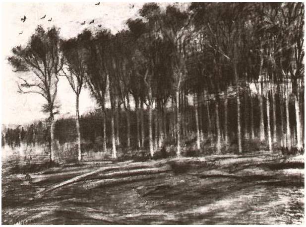 Vincent van Gogh Borde de un bosque Drawing Vincent van Gogh's Borde de un bosque Drawing