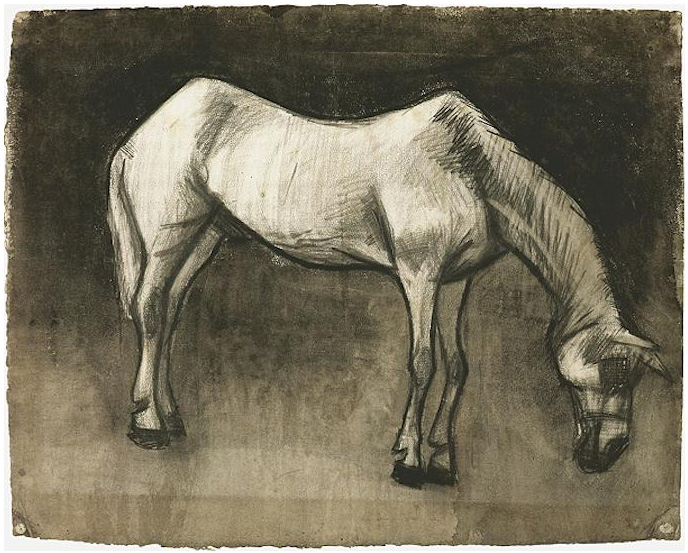 Vincent van Gogh Jamelgo Drawing Vincent van Gogh's Jamelgo Drawing