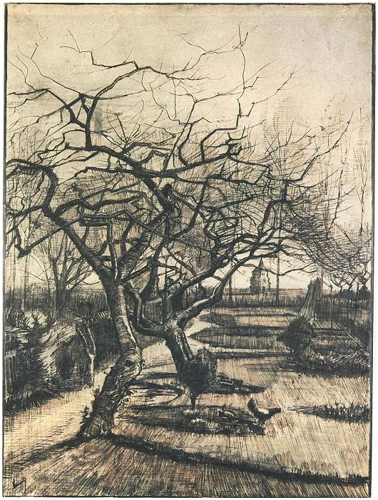Vincent van Gogh Parsonage Garden Drawing Vincent van Gogh's Parsonage Garden Drawing