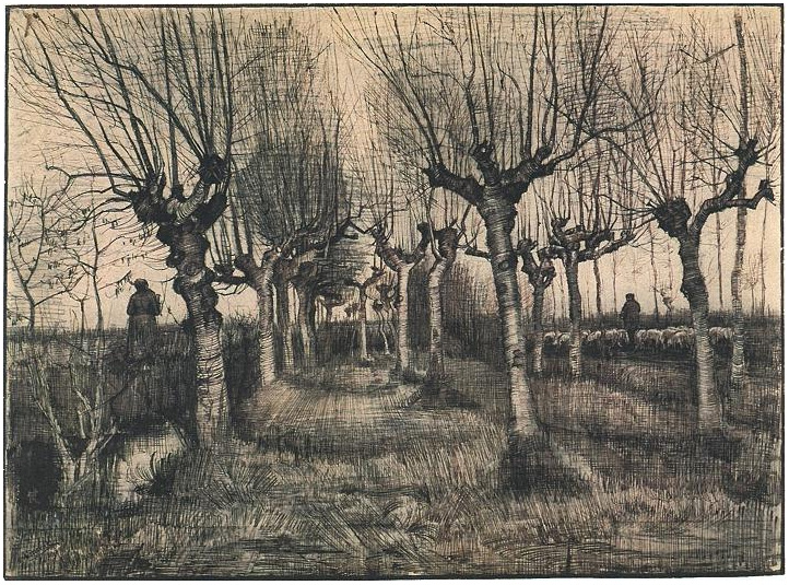Vincent van Gogh Pollard Birches Drawing Vincent van Gogh's Pollard Birches Drawing