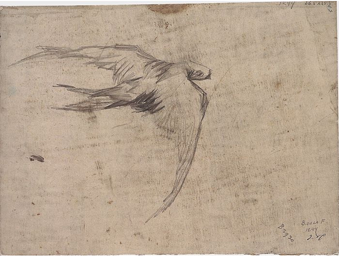 Vincent van Gogh Rápido Drawing Vincent van Gogh's Rápido Drawing