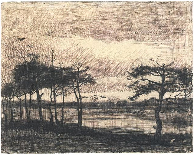 Vincent van Gogh Pinos en el terreno Drawing Vincent van Gogh's Pinos en el terreno Drawing