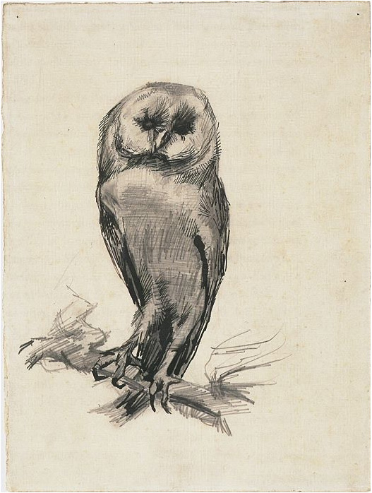 Vincent van Gogh's Barn Owl Viewed from the Front Drawing