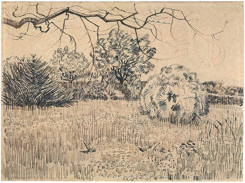 Vincent van Gogh Campo de hierba con un arbusto redondo y cortado Drawing Vincent van Gogh's Campo de hierba con un arbusto redondo y cortado Drawing