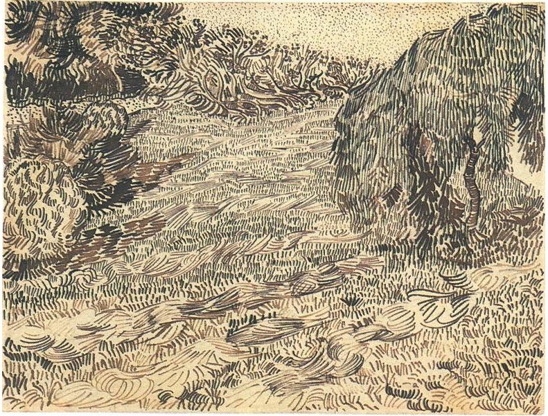 Vincent van Gogh Newly Mowed Lawn with Weeping Tree Drawing Vincent van Gogh's Newly Mowed Lawn with Weeping Tree Drawing