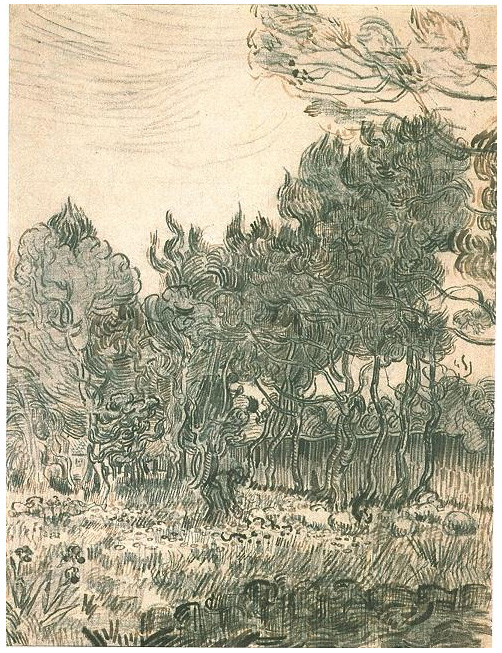 Vincent van Gogh Pinos cerca de la pared del asilo Drawing Vincent van Gogh's Pinos cerca de la pared del asilo Drawing