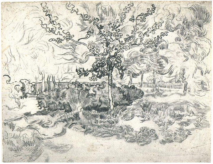 Vincent van Gogh Jardín del asilio Drawing Vincent van Gogh's Jardín del asilio Drawing