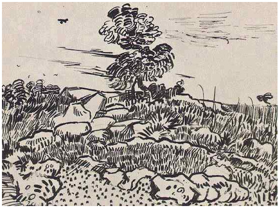 Vincent van Gogh Rocas con roble Drawing Vincent van Gogh's Rocas con roble Drawing