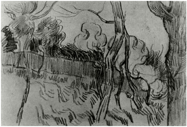 Vincent van Gogh Pinos visto contra el muro del asilo Drawing Vincent van Gogh's Pinos visto contra el muro del asilo Drawing