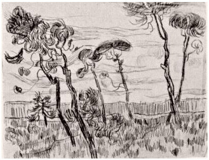 Vincent van Gogh Pinos enfrente de la pared del asilo Drawing Vincent van Gogh's Pinos enfrente de la pared del asilo Drawing