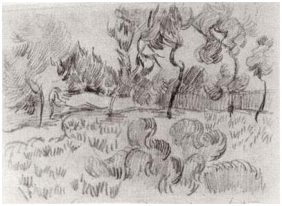 Vincent van Gogh Pinos enfrente de la pared del asilo Drawing Vincent van Gogh's Pinos enfrente de la pared del asilo Drawing
