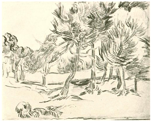 Vincent van Gogh Un grupo de pinos Drawing Vincent van Gogh's Un grupo de pinos Drawing