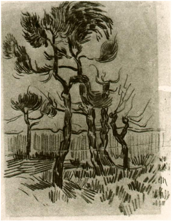 Vincent van Gogh Pine Trees in Front of the Wall of the Asylum Drawing Vincent van Gogh's Pine Trees in Front of the Wall of the Asylum Drawing