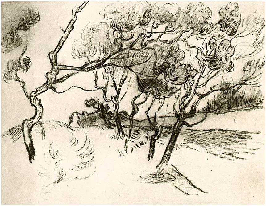 Vincent van Gogh Pinos a lo largo de un camino hacia una casa Drawing Vincent van Gogh's Pinos a lo largo de un camino hacia una casa Drawing