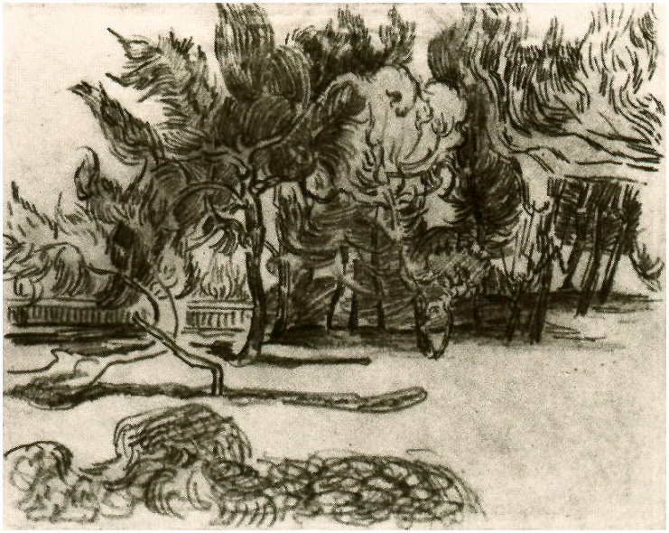 Vincent van Gogh Pine Trees near the Wall of the Asylum Drawing Vincent van Gogh's Pine Trees near the Wall of the Asylum Drawing