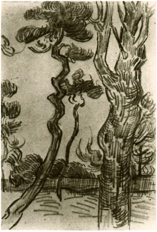 Vincent van Gogh Pinos visto contra el muro del asilo Drawing Vincent van Gogh's Pinos visto contra el muro del asilo Drawing
