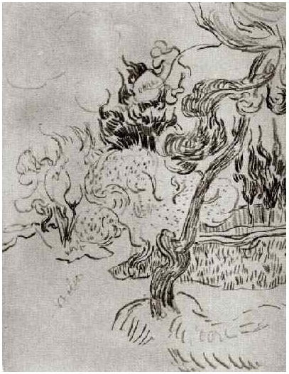 Vincent van Gogh Un pino y cipreses en el jardín del asilo Drawing Vincent van Gogh's Un pino y cipreses en el jardín del asilo Drawing