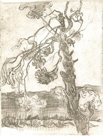 Vincent van Gogh Un pino curtido Drawing Vincent van Gogh's Un pino curtido Drawing