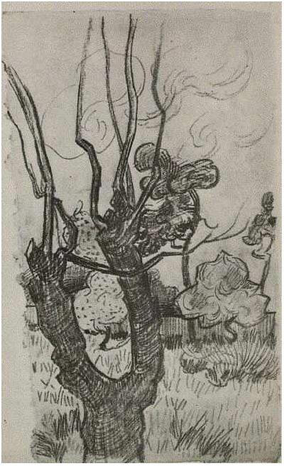 Vincent van Gogh's Bare Treetop in the Garden of the Asylum, A Drawing