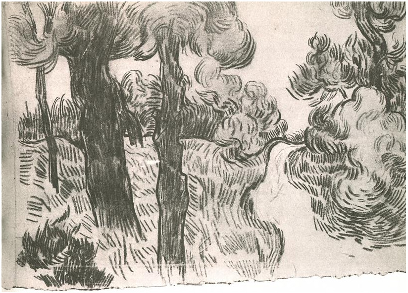 Vincent van Gogh Sendero entre pinos Drawing Vincent van Gogh's Sendero entre pinos Drawing