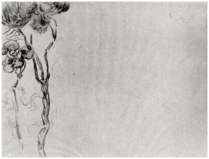Vincent van Gogh Dos árboles Drawing Vincent van Gogh's Dos árboles Drawing