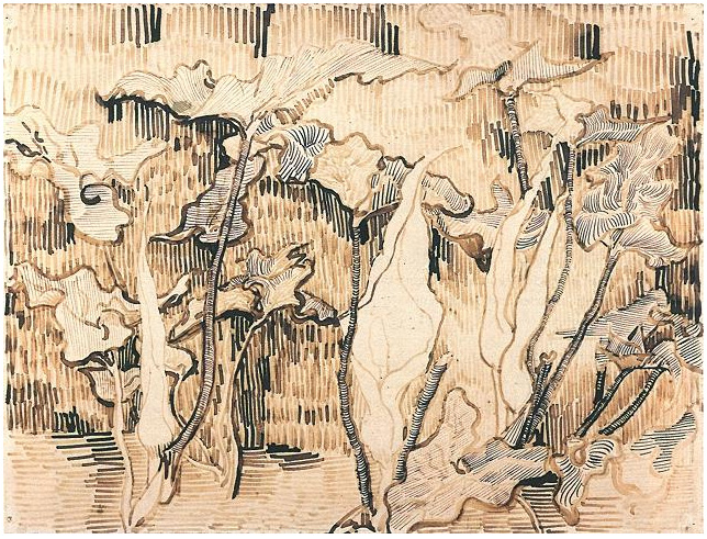 Vincent van Gogh Aros Drawing Vincent van Gogh's Aros Drawing