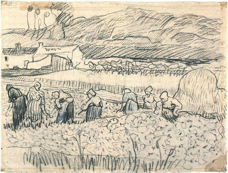 Vincent van Gogh Mujeres trabajando en campo de trigo Drawing Vincent van Gogh's Mujeres trabajando en campo de trigo Drawing