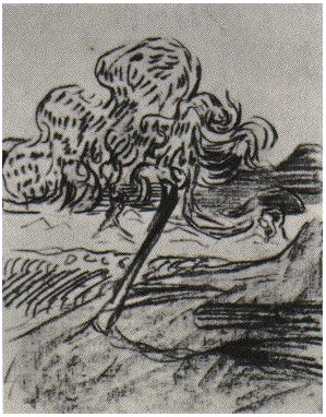 Vincent van Gogh Estudio de un árbol frutal Drawing Vincent van Gogh's Estudio de un árbol frutal Drawing