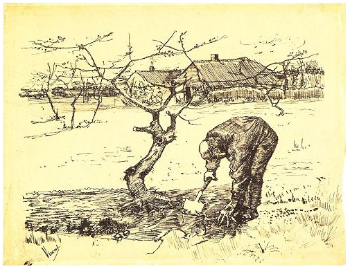 Vincent van Gogh Gardener near a Gnarled Apple Tree Graphic Vincent van Gogh's Gardener near a Gnarled Apple Tree Graphic