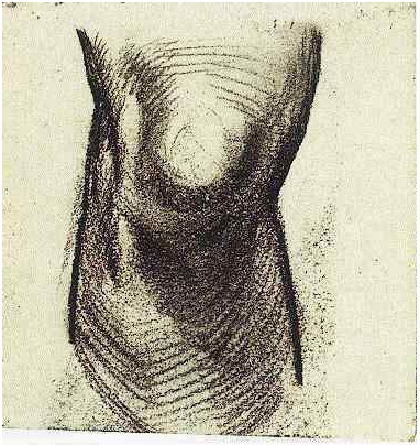Vincent van Gogh Bosquejo de una rodilla Drawing Vincent van Gogh's Bosquejo de una rodilla Drawing