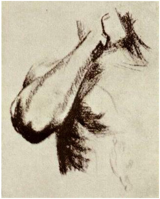 Vincent van Gogh Bosquejo de un brazo derecho y hombro Drawing Vincent van Gogh's Bosquejo de un brazo derecho y hombro Drawing