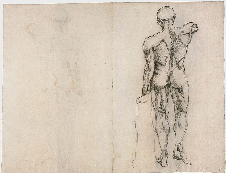 Vincent van Gogh L'Ecorche Drawing Vincent van Gogh's L'Ecorche Drawing