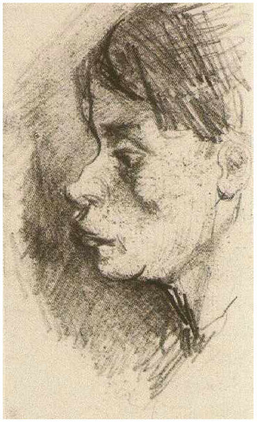 Vincent van Gogh Cabeza de una mujer campesina, con la cabeza descubierta Drawing Vincent van Gogh's Cabeza de una mujer campesina, con la cabeza descubierta Drawing