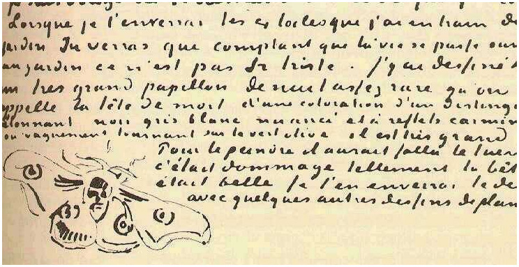 Vincent van Gogh Gran polilla del pavo real LetterSketches Vincent van Gogh's Gran polilla del pavo real LetterSketches