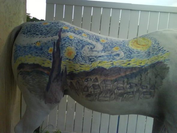 Starry Starry Horse