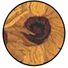 Review of Van Gogh Sunflower Paintings