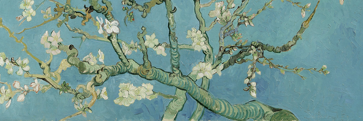 gogh almond