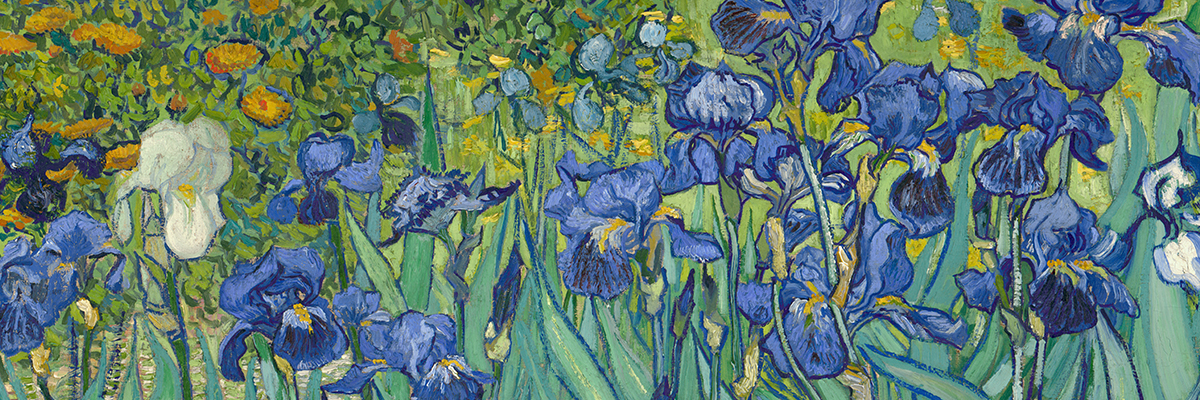 Van gogh iris Van Gogh