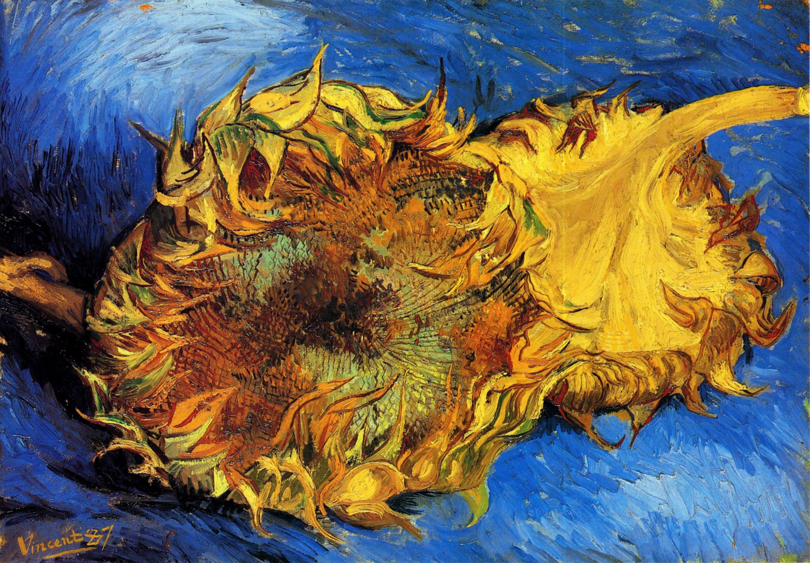 Sunflowers Paintings Van Gogh Gallery